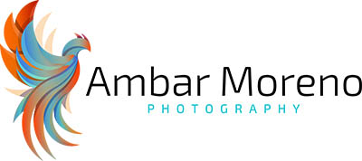 NJ Wedding Photographer: Ambar Moreno Photography